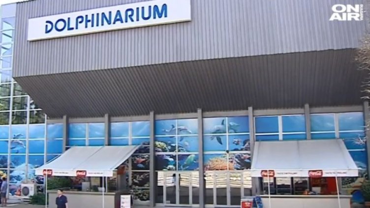 Кадър: Bulgaria ON AIR