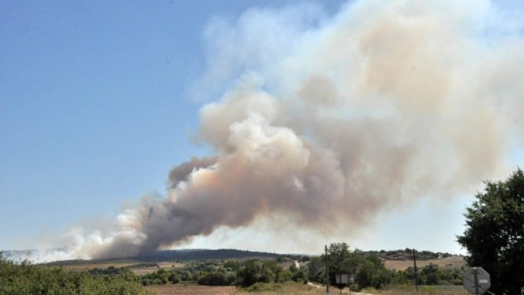 Снимка: Булфото