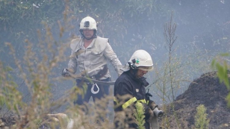 Снимка: архив, Булфото