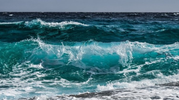 Снимка: Pixabay