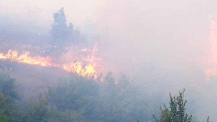 Снимка: Булфото, архив