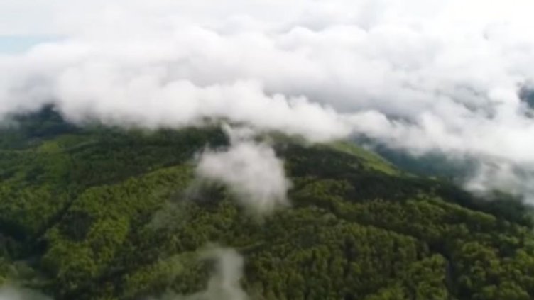 Снимка: Bulgaria ON AIR