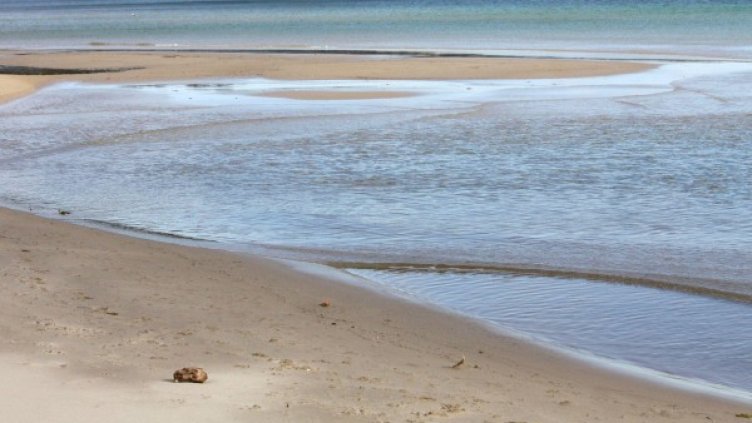 Архив: Булфото