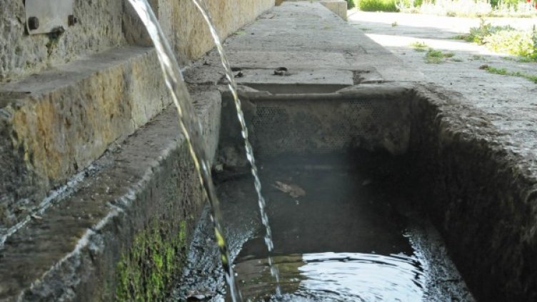 Архив: Булфото