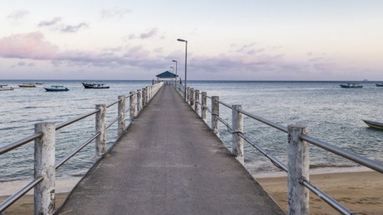 Снимка: Pixabay