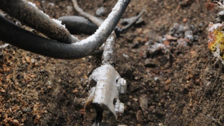 Снимка: Булфото