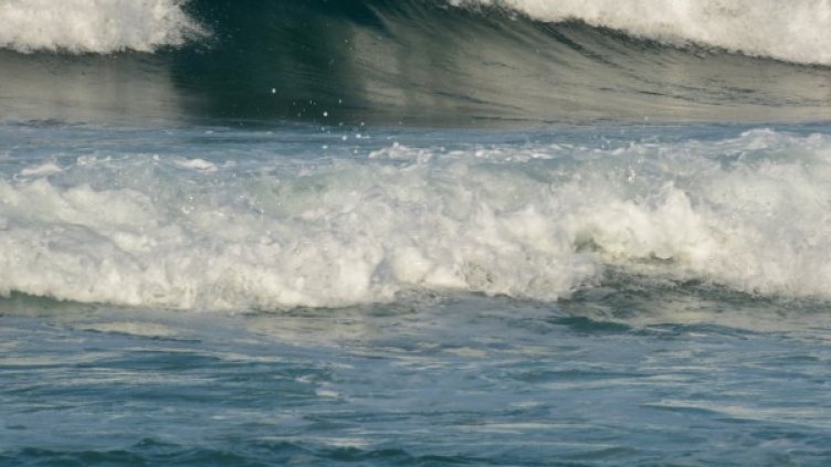 Снимка: БТА, архив