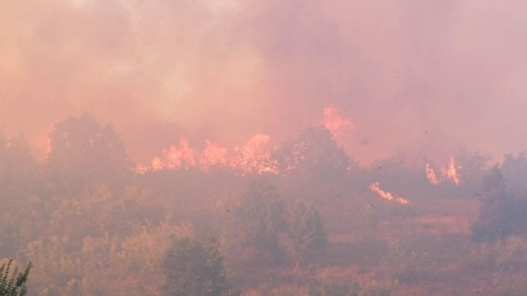 Снимка: БулФото/ Архив