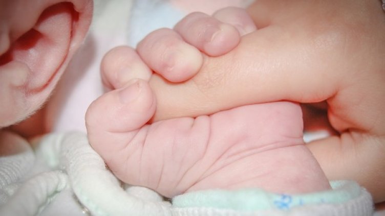 Снимка: pixaBay