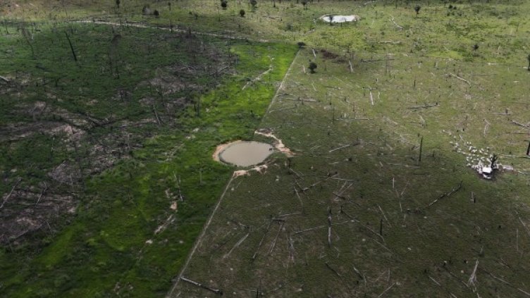 Снимка: Reuters