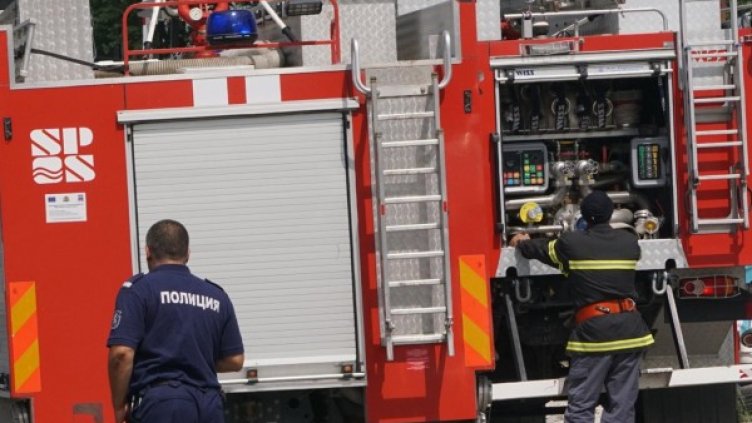 Снимка: Булфото