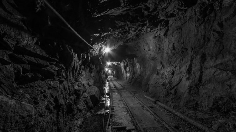 Снимка: Pixabay