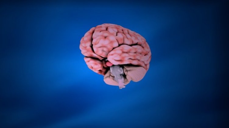 Снимка: Pixabay