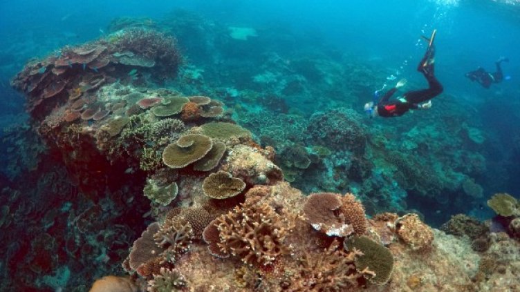 Снимка: Reuters