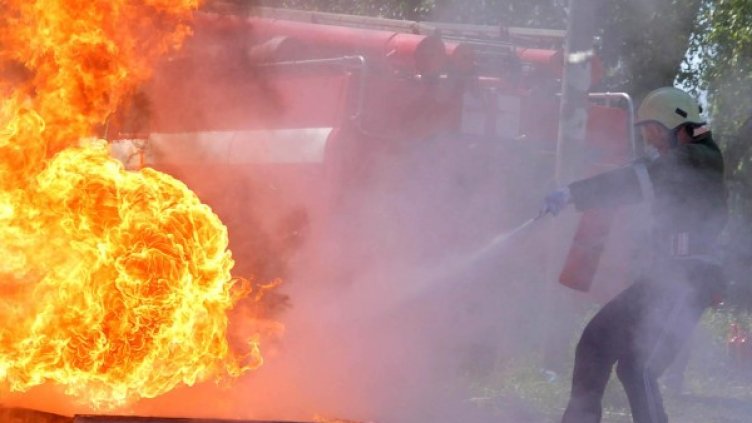 Архив: Булфото