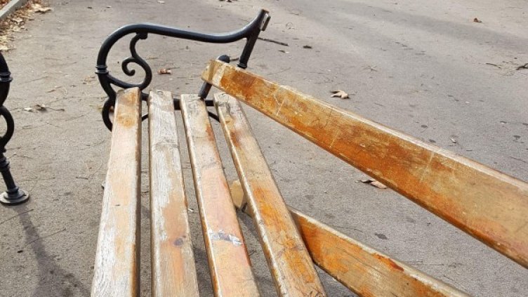 Снимка: BulFoto архив