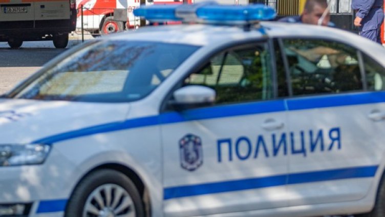 Снимка: Димитър Кьосемарлиев/Dnes.bg