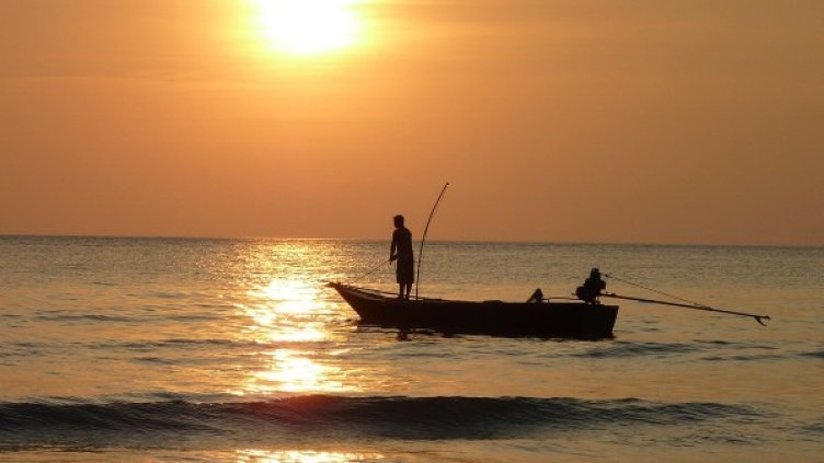 Снимка: Pixabay