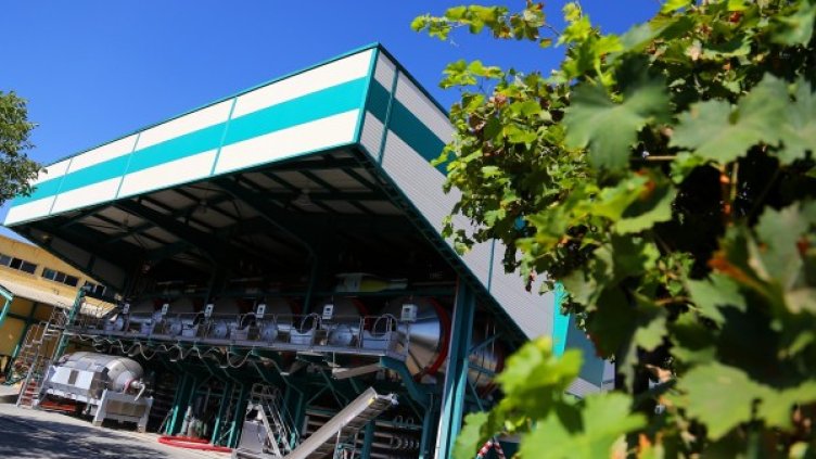 Източник: New Bloom Winery
Източник: New Bloom Winery