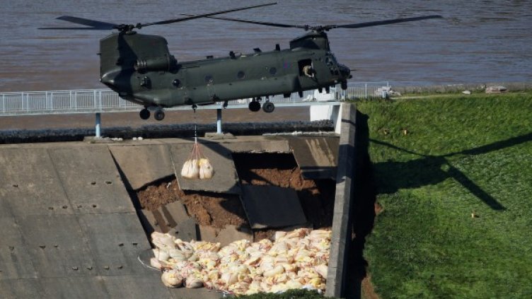 Снимки: Reuters