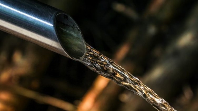 Снимка: Pixabay