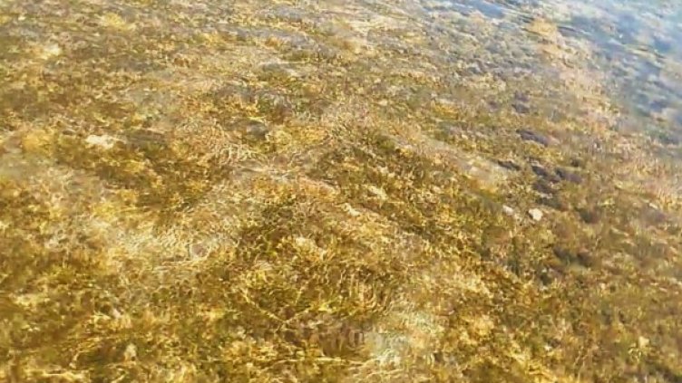 Снимка: Dalmacija danas