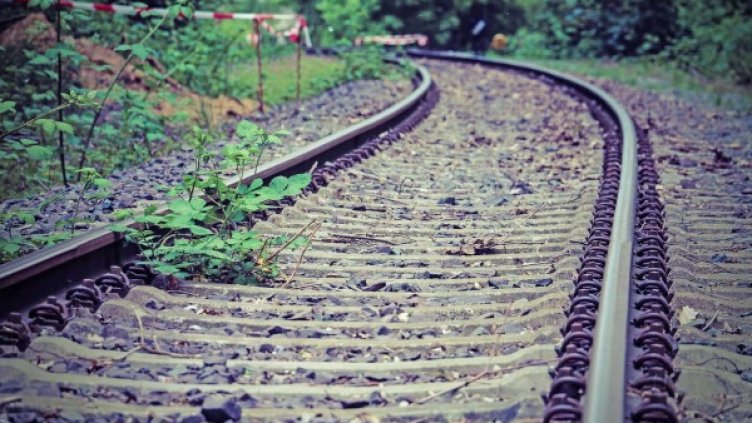 Снимка: Pixabay