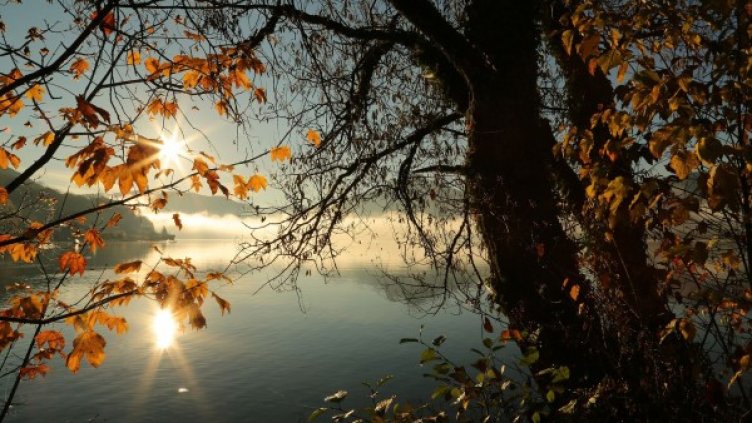 Снимка: Pixabay