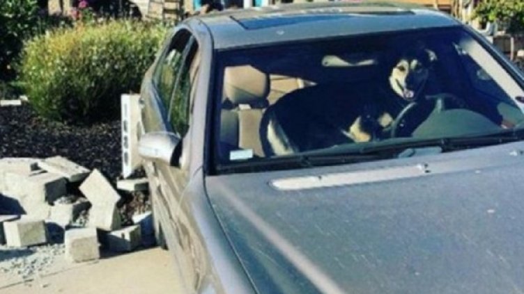 Снимки: Twitter