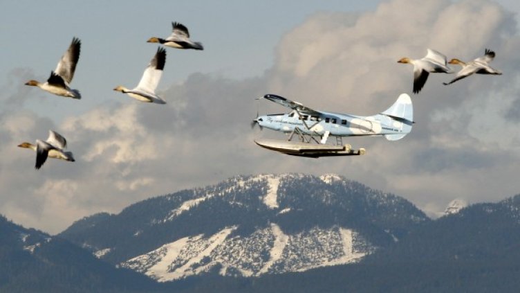 Снимка: архив, Reuters