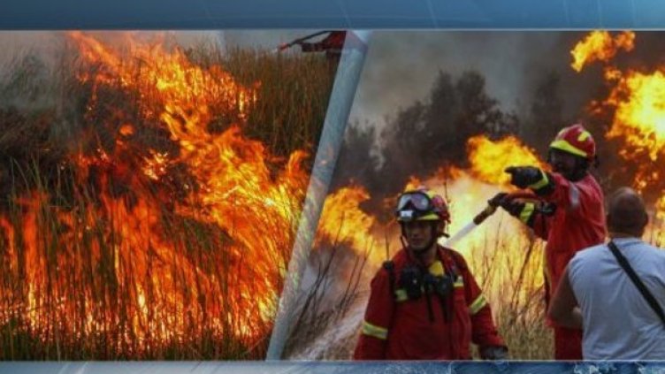 Снимка: Bulgaria ON AIR