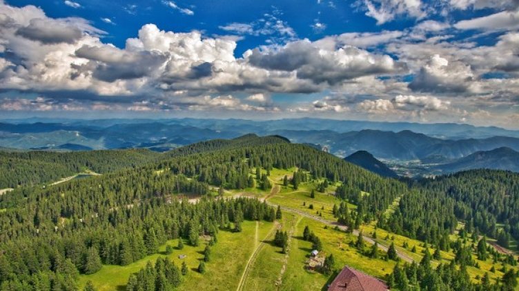 Снимка: Pixabay