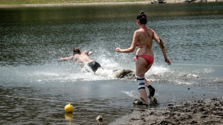 Снимка: Фермата