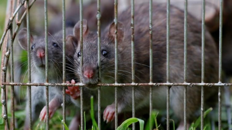 Снимка: архив, Reuters