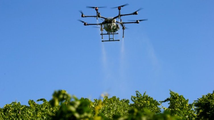 Снимка: Reuters