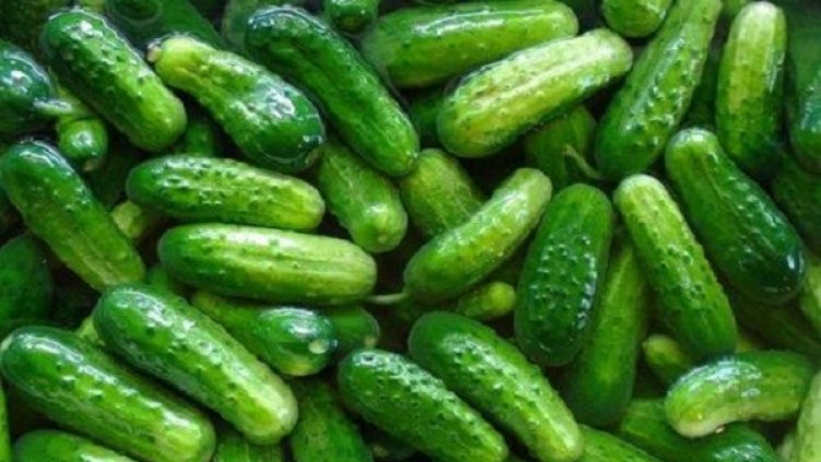 Вместо тютюн &ndash; корнишони. Новият масов бизнес на производителите