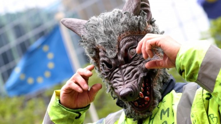 Снимка: Reuters