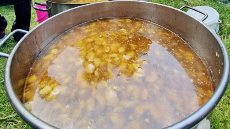 Снимка: BulFoto архив