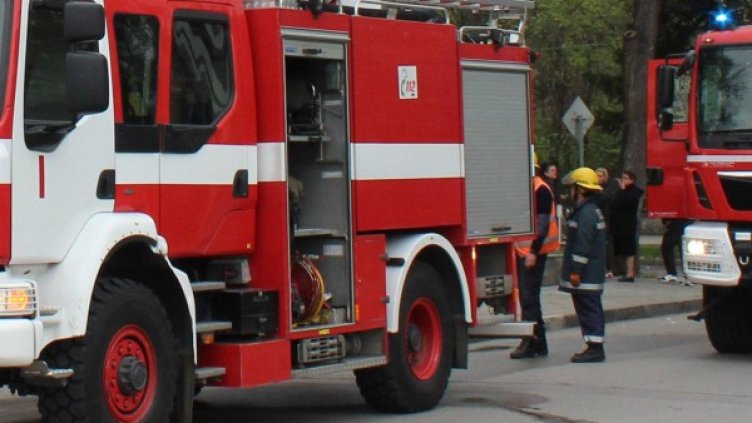 Снимка: архив "Булфото"