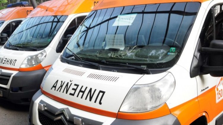 Снимка: Булфото