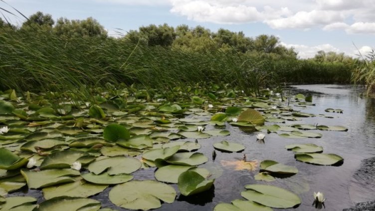 Снимка: БТА, архив