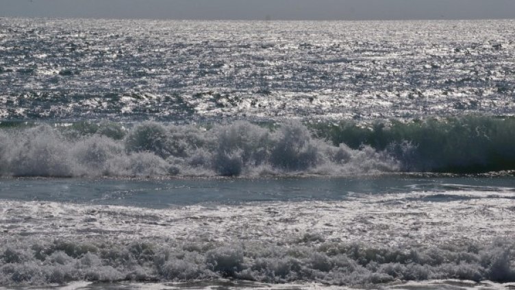 Снимка: архив, Булфото