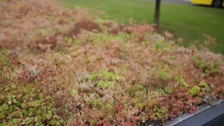 Просто, но толкова гениално: Утрехт и истински зелените спирки 