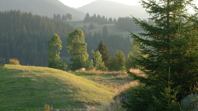 Архив: Булфото