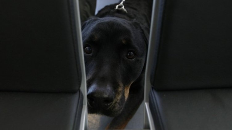 Снимка: архив, Reuters