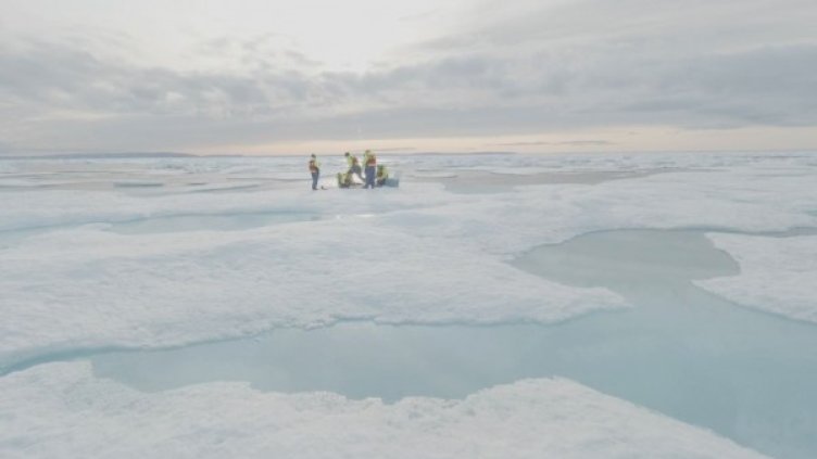 Снимка: Reuters, архив