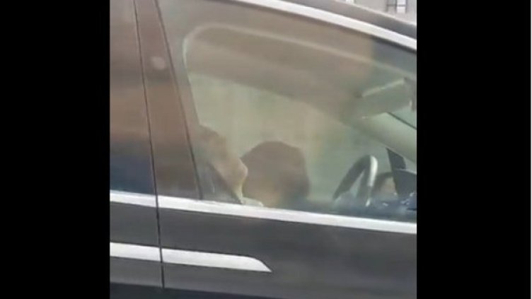 Снимка: Twitter