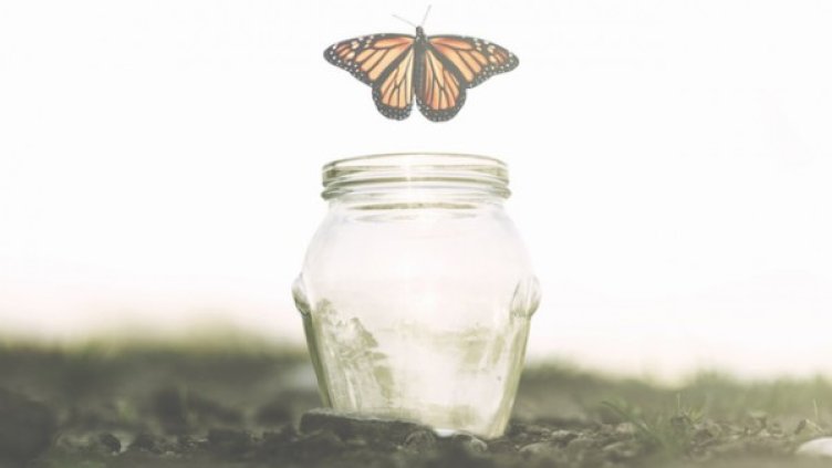 Снимка: Istock