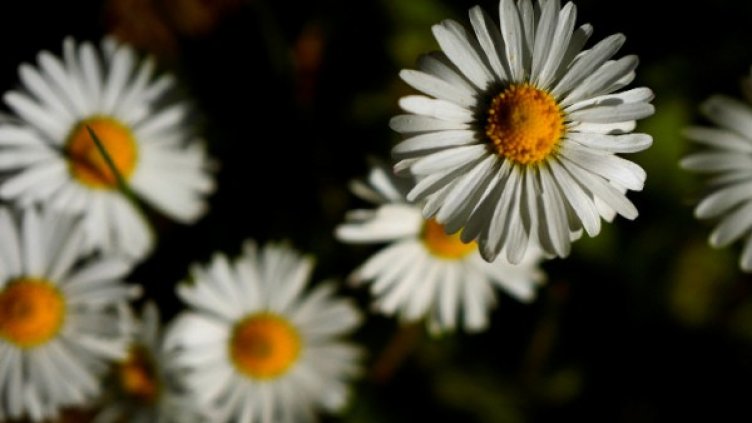 Снимка: архив, Reuters