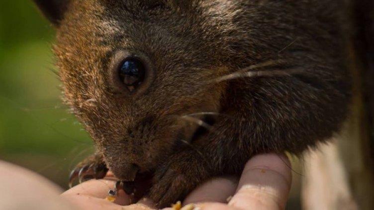 Снимка: Facebook, Петър Кръстев